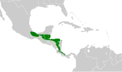Distribución geográfica del cotinga azulejo.