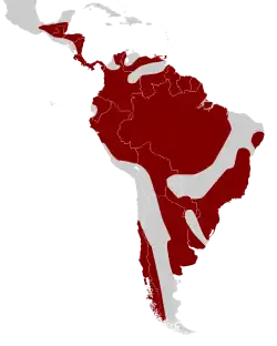 Distribución geográfica de los cotíngidos.