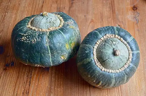 Cucurbita maxima tipo 'Buttercup', con corona (crown[113]​ o button).