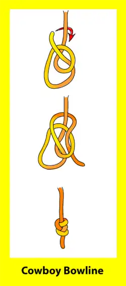 Nudo as de guía en extremo