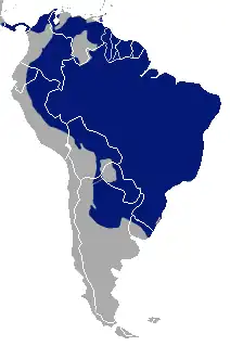 Distribución