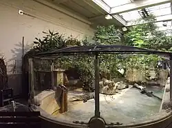 Zona de los cocodrilos del Nilo