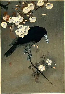 Crow and Blossom, c. 1910