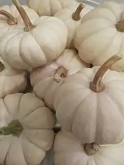 Variedad blanca: 'White pumpkin', 'Baby Boo'.