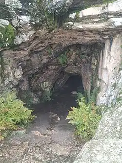Se ve una cueva en unas rocas. Hay algunos helechos también.