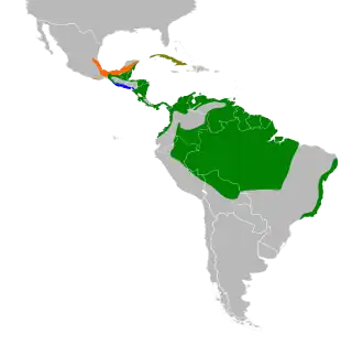 Distribución geográfica del mielerito patirrojo.