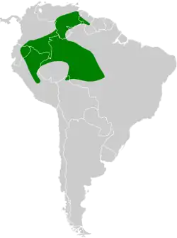 Distribución geográfica del mielerito piquicorto.