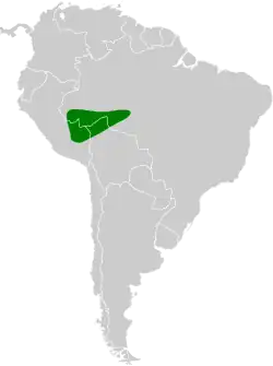 Distribución geográfica del batará de Madre de Dios.