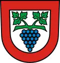 Escudo de Büsingen am Hochrhein