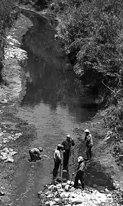 Proyecto de limpieza y mejora ecológica del río, 1969