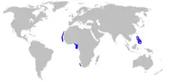 Range of arrownose dogfish (in blue)