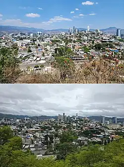 Cambios estacionales en árboles caducifolios en Tegucigalpa, Honduras