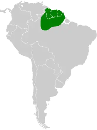 Distribución geográfica del trepatroncos colilargo (incluyendo los grupos typica y pallida).
