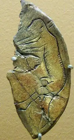 Humano atacado por un oso del que solo se ve la zarpa (Saint-Germain, Francia)