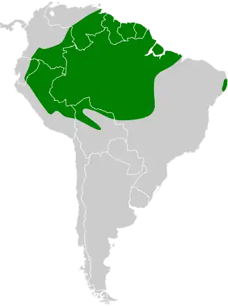 Distribución geográfica del trepatroncos barrado amazónico.