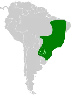 Distribución geográfica del trepatroncos oscuro.