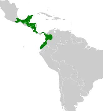 Distribución geográfica del trepatroncos barrado norteño.