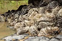 Desechos de limpieza de petróleo dejados por la operadora Frontera Energy tras un derrame de petróleo en territorio Achuar en el lote 192 en septiembre de 2017.