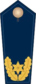 Insignias of a Leitender Polizeidirektor as Head of Department