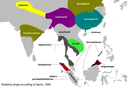 Zonas de reproducción de diversas razas según Vaurie, algunas subespecies no son consideradas válidas en la actualidad[2]​