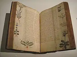 De materia medica bizantina, siglo XV.