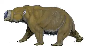 Diprotodon de Australia, el mayor marsupial de todos los tiempos, se extinguió hace 40.000 años.