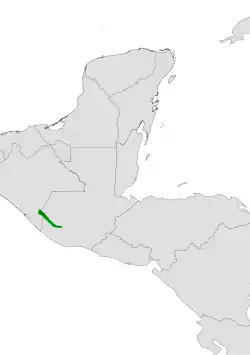 Disocactus quezaltecus