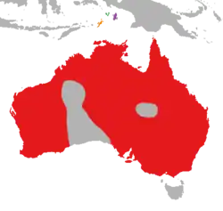 Mapa distributivo de Dicaeum hirundinaceum hirundinaceum en rojo. Arriba: D. h. keiense en verde, D. h. ignicolle en púrpura, y D. h. fulgidum en naranja.