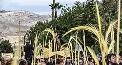 Procesión del Domingo de Ramos de Elche