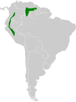Distribución geográfica del colibrí picolanza menor.