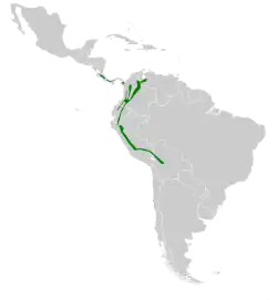 Distribución geográfica del colibrí picolanza mayor.
