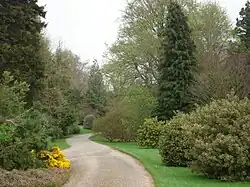 Driveway leading to Berrington Hall
