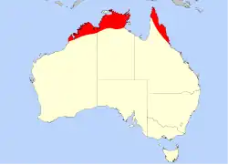 Distribución de D. petiolaris en Australia