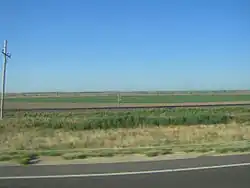 Drought can reduce the Arkansas River so much, trees along the river cannot survive