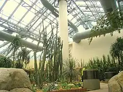 "Dry Plant House" (Casa de las plantas de climas áridos).