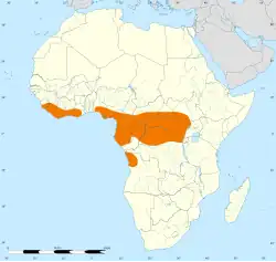 Distribución del águila culebrera del Congo (naranja)