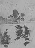 Patos bajo la lluvia, aguafuerte, 1918, Galería de Arte, Universidad de New Hampshire