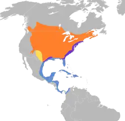 Zona habitada por el mímido gris