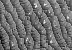 Olympia Planitia Dunes, según lo visto por HiRISE. El yeso ha sido detectado aquí por MRO.[11]​