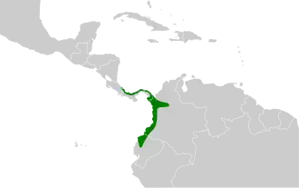 Distribución geográfica del batarito coronipunteado.