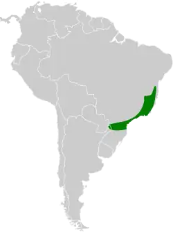 Distribución geográfica del batarito pechipinto.