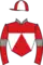 Horse racing silks