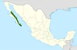 Echinocereus brandegeei