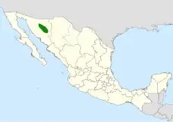 Echinocereus bristolii