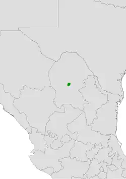 Echinocereus freudenbergeri