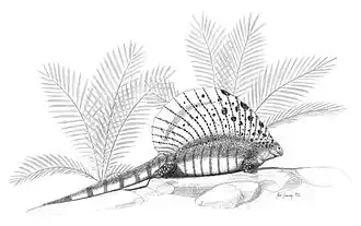 Edaphosaurus cruciger.