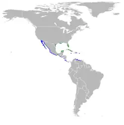      Nidificación      Invernada      Todo el año