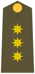 Divisa coronel Ejército de Tierra.
