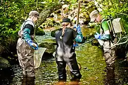 Proyecto de restauración del río EKOenergy.