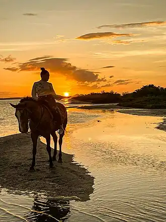 Atardecer a caballo con un increible atardecer en la ensenada de la Guardia - Isla de Margarita @aventura0295